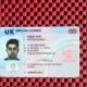 Führerschein, Personalausweis, Original Datenbank registrierter Reisepass, biometrischer Reisepass,