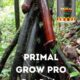 Permanent Network Herbal Cream For Men In Kalavasos In Cyprus Call ☏ +27710732372 Penis Enlargement